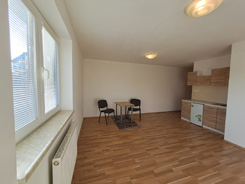 pokoj - Pronájem bytu 1+kk v osobním vlastnictví 29 m², České Budějovice 