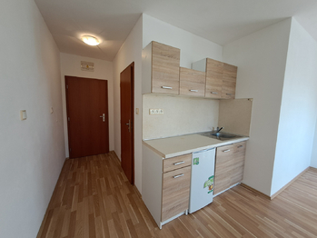 pokoj - Pronájem bytu 1+kk v osobním vlastnictví 29 m², České Budějovice