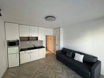 Pronájem bytu 1+kk v osobním vlastnictví 27 m², Brno