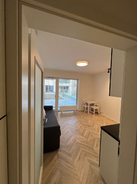 Pronájem bytu 1+kk v osobním vlastnictví 27 m², Brno