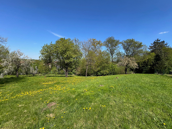 Prodej pozemku 1774 m², Svinaře