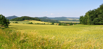 Prodej pozemku 1124 m², Třebušín