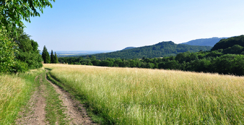 Prodej pozemku 1124 m², Třebušín