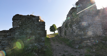 Prodej pozemku 1124 m², Třebušín