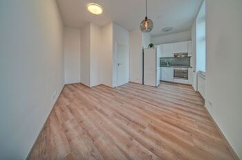 Pronájem bytu 1+kk v družstevním vlastnictví 25 m², Praha 4 - Podolí