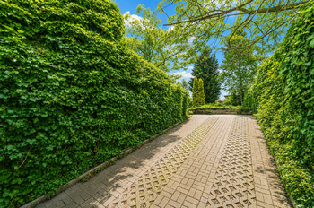 Prodej domu 165 m², Kosmonosy