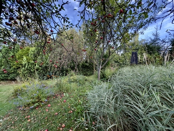 Prodej chaty / chalupy 25 m², Hlincová Hora