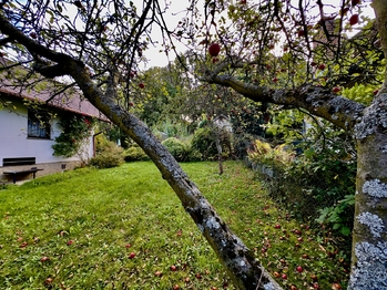 Prodej chaty / chalupy 25 m², Hlincová Hora