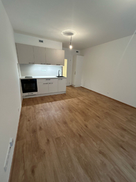 Pronájem bytu 1+kk v osobním vlastnictví 33 m², Praha 9 - Hloubětín