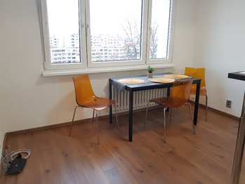 Pronájem bytu 1+1 v osobním vlastnictví 42 m², Písek