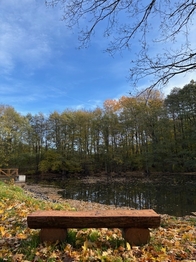 Prodej domu 286 m², Ondřejov