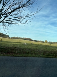 Prodej domu 286 m², Ondřejov