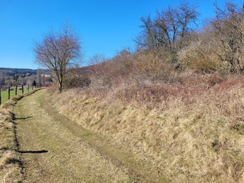 Prodej pozemku 409 m², Velký Chlumec