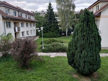 Pronájem bytu 1+kk v osobním vlastnictví 29 m², Brno