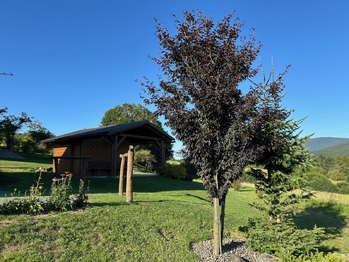 Upravená zahrada v létě - Prodej chaty / chalupy 128 m², Branná