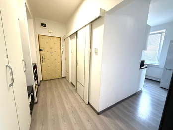 Pronájem bytu 2+1 v osobním vlastnictví 53 m², Slaný