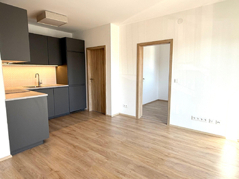 Pronájem bytu 2+kk v osobním vlastnictví 40 m², Slaný