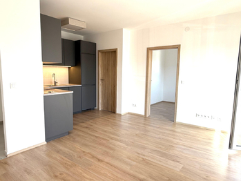 Pronájem bytu 2+kk v osobním vlastnictví 40 m², Slaný