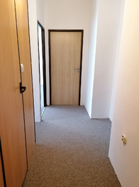 Pronájem bytu 3+1 v osobním vlastnictví 64 m², Horní Benešov