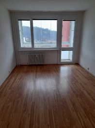 Pronájem bytu 3+1 v osobním vlastnictví 83 m², Ústí nad Labem