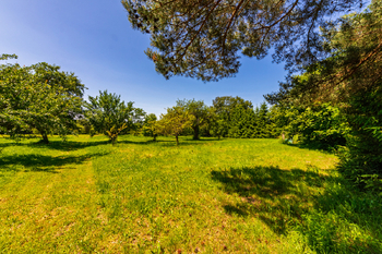 Prodej pozemku 2426 m², Medový Újezd