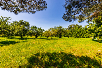 Prodej pozemku 2426 m², Medový Újezd