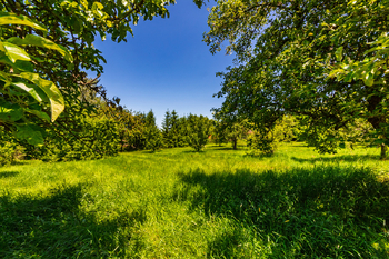 Prodej pozemku 2426 m², Medový Újezd