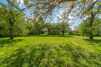 Prodej domu 176 m², Vejvanov