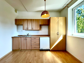 Pronájem bytu 1+kk v osobním vlastnictví 40 m², Harrachov