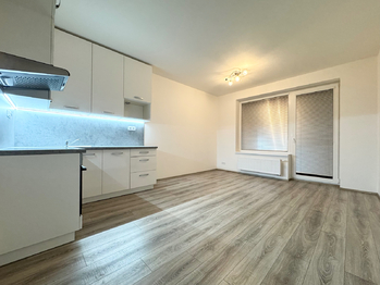 Pronájem bytu 1+kk v osobním vlastnictví 26 m², Milovice