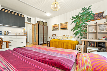 Pronájem bytu 1+kk v osobním vlastnictví 27 m², Praha 10 - Vršovice
