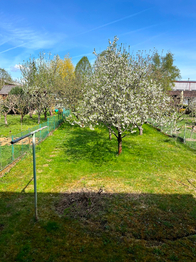 Prodej domu 180 m², Stříbro