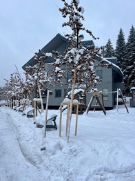 Prodej bytu 1+kk v osobním vlastnictví 37 m², Harrachov