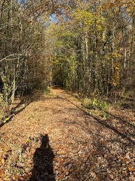 Prodej pozemku 1217 m², Praha 6 - Přední Kopanina