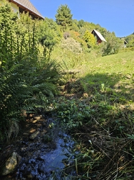Prodej pozemku 602 m², Velké Losiny