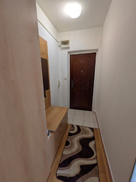 Prodej bytu 1+kk v družstevním vlastnictví 24 m², Havířov