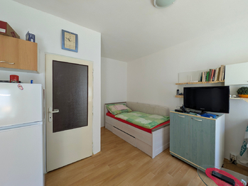 Prodej bytu 1+kk v družstevním vlastnictví 24 m², Havířov