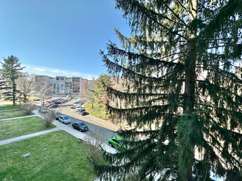 Pronájem bytu 2+1 v družstevním vlastnictví 51 m², Praha 6 - Břevnov