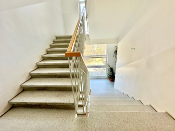 Pronájem bytu 2+1 v družstevním vlastnictví 51 m², Praha 6 - Břevnov