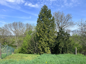 Prodej domu 95 m², Plzeň