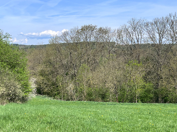 Prodej domu 95 m², Plzeň
