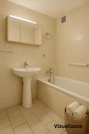 Koupelna vizualizace - Prodej bytu 1+1 v družstevním vlastnictví 42 m², Liberec