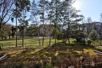 Pronájem bytu 1+1 v osobním vlastnictví 37 m², Brno