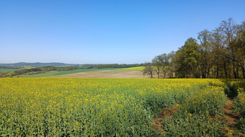 Prodej domu 151 m², Václavice