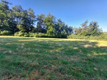 Prodej pozemku 3866 m², Plasy