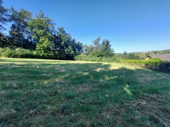 Prodej pozemku 3866 m², Plasy