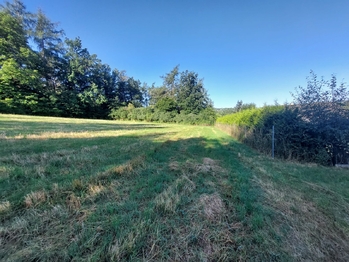 Prodej pozemku 3866 m², Plasy