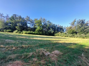 Prodej pozemku 3866 m², Plasy