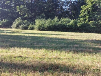 Prodej pozemku 3866 m², Plasy