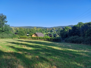 Prodej pozemku 3866 m², Plasy
